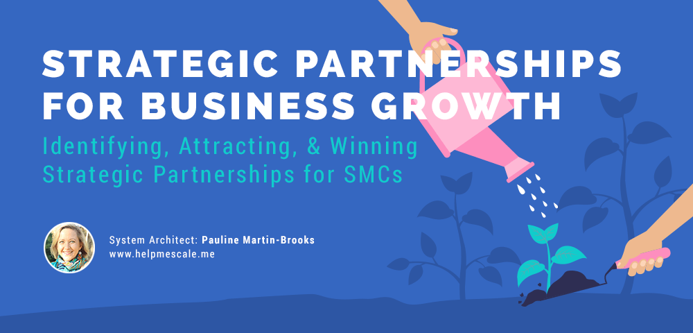 Strategic Partnerships for Business Growth banner — identifying, attracting, and winning partnerships for SMCs by Pauline Martin-Brooks