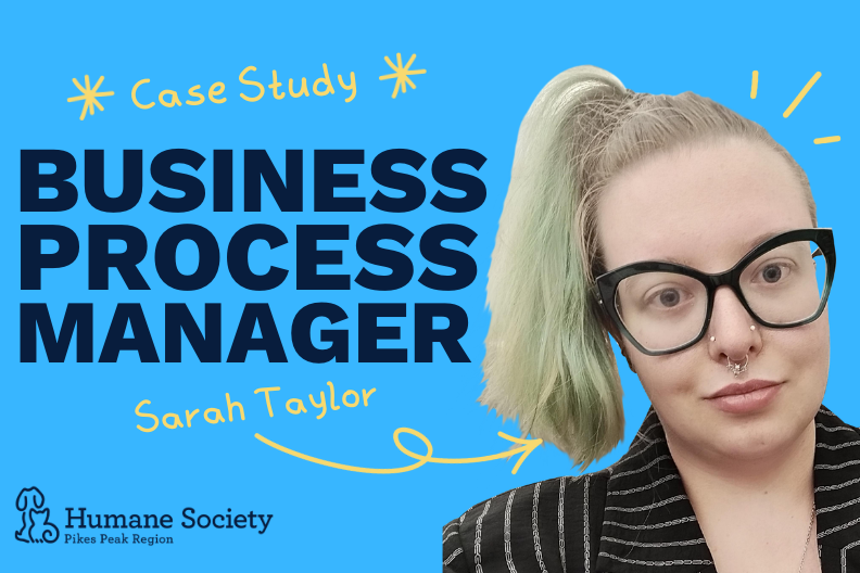 Sarah Taylor case study