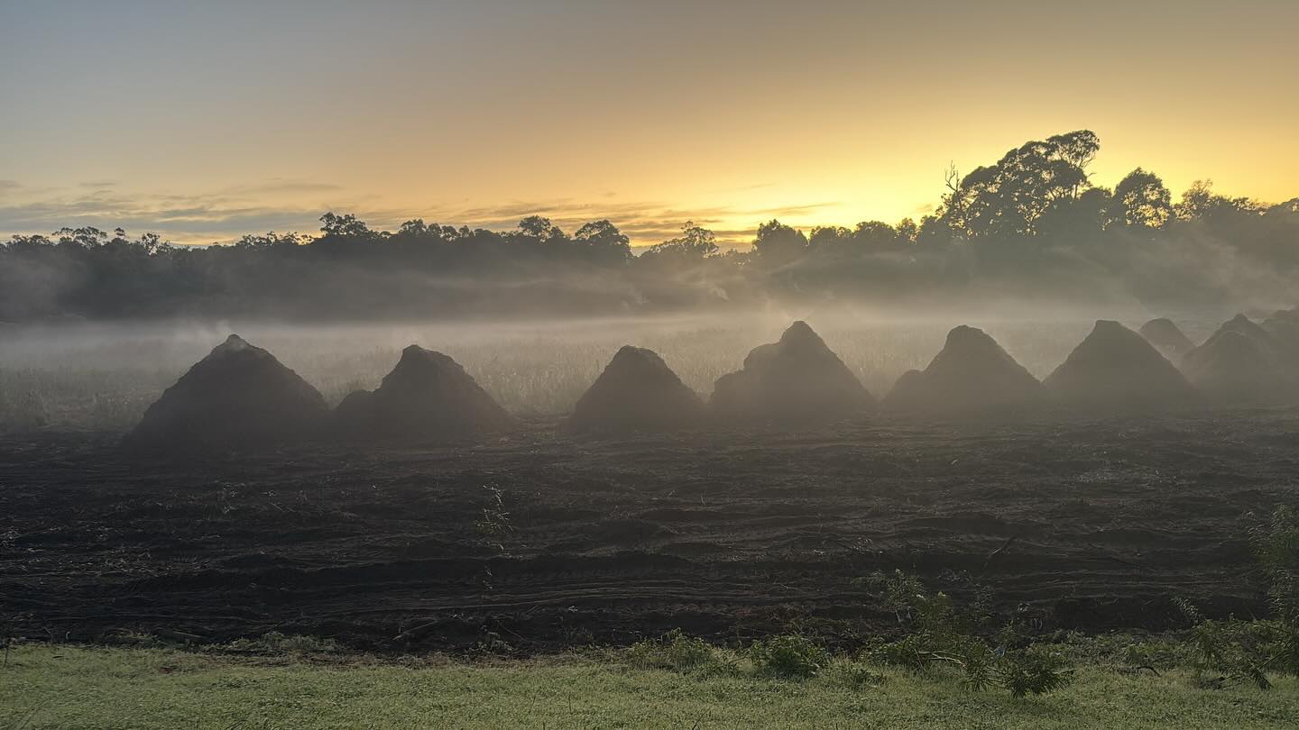 Ecosystem Solutions, Western Australia
